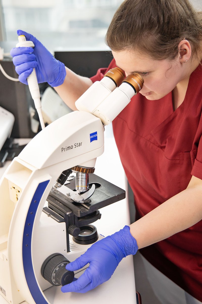 Andrologie – Mikroskopische Labordiagnostik
